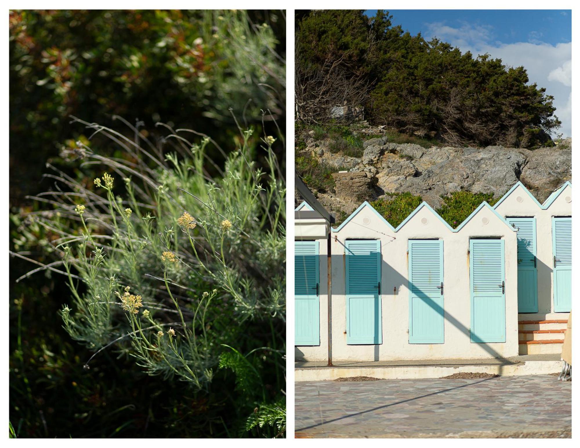 La Casa Di Marco, Holidays, Sea And Nature 몬티아노 외부 사진